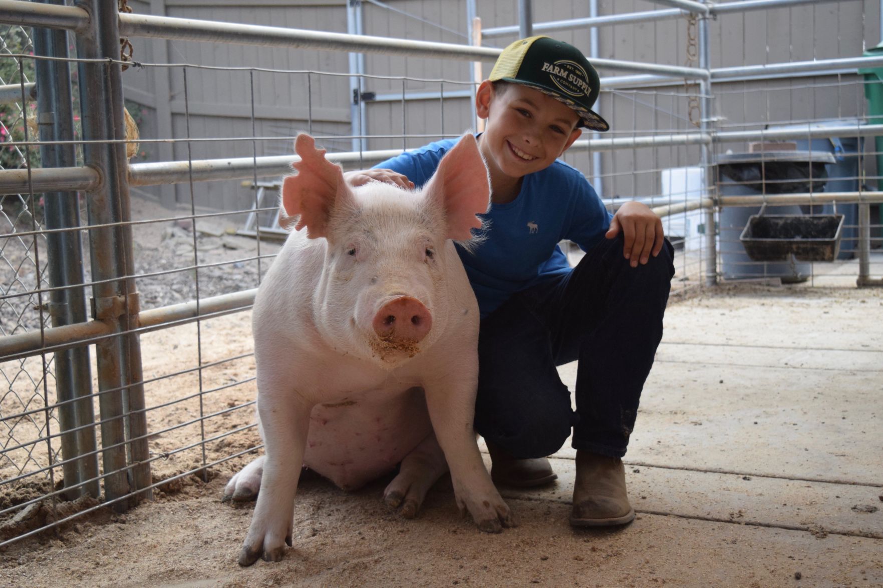 Jayla Romain - Younger Brother, Dane with Pig, Gip.jpg